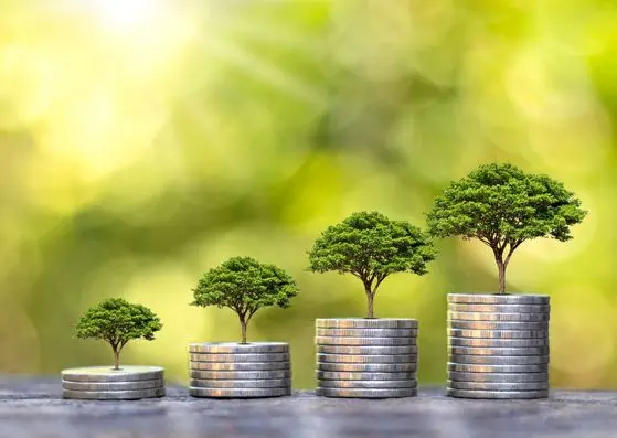 Symbole du développement écoresponsable alliant performance économique et respect de l’environnement